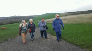 Strollers form skirmish line in Herrington Park