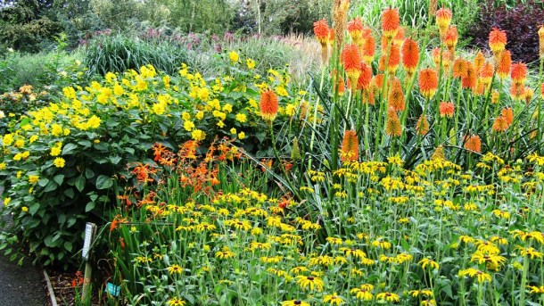 Breezy Knees Gardens Set 2019 (33)