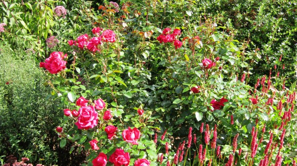 Breezy Knees Gardens Set 2019 (42)