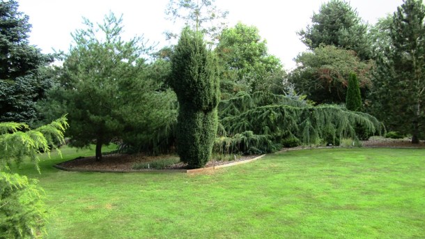 Breezy Knees Gardens Set 2019 (6)