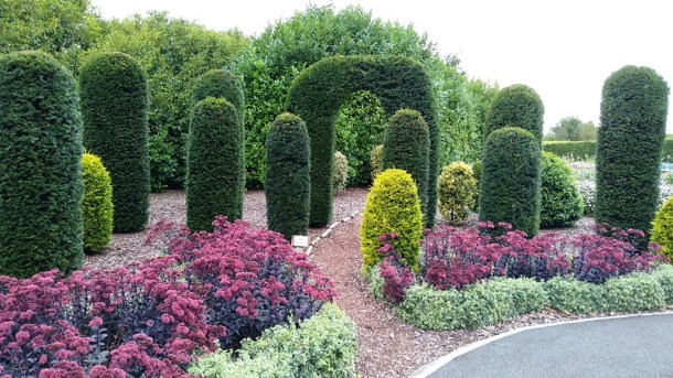 IMG_20190904_143059 1