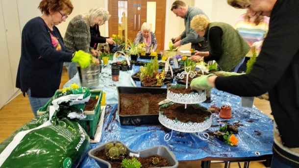 planting up quirky containers